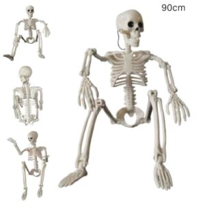 Esqueletos de articulaciones articuladas de cuerpo completo de 35.43 " para decoraciones de Halloween.