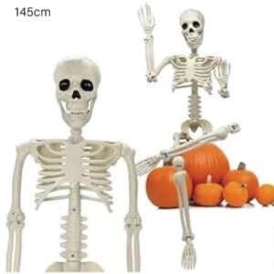 HW003 Esqueletos de articulaciones articuladas de cuerpo completo de 55.12 "para decoraciones de Halloween.